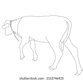 Simple Coe Calves Line Art Design