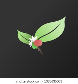 
Simple Coffee Fruit Vector Design