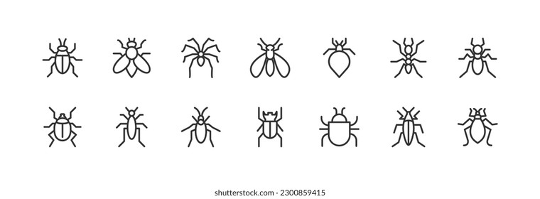 Simple collection of insect related line icons. Thin line vector set of signs for infographic, logo, app development and website design. Premium symbols isolated on a white background.