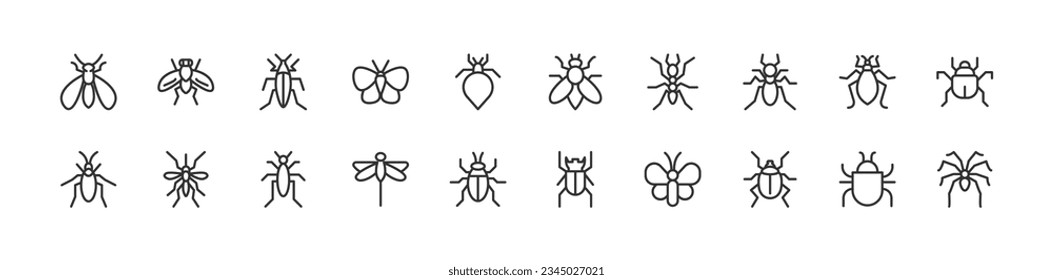 Simple collection of insect related line icons. Thin line vector set of signs for infographic, logo, app development and website design. Premium symbols isolated on a white background.