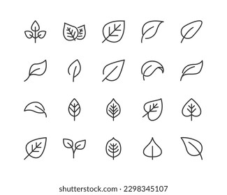 Simple collection of leaf related line icons. Thin line vector set of signs for infographic, logo, app development and website design. Premium symbols isolated on a white background.