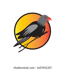 simple color bird logo design vector