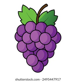 a simple color drawing of a beautiful grapes vector illustration imeg.