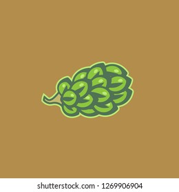 simple color illustration of a hop fruit in vector