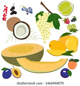 Simple color summer fruit set
