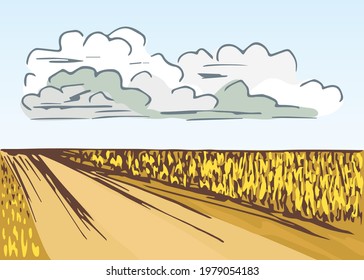 Simple color vector drawing. Autumn yellow wheat field, road, farm harvest. Clouds in the sky, rural landscape.