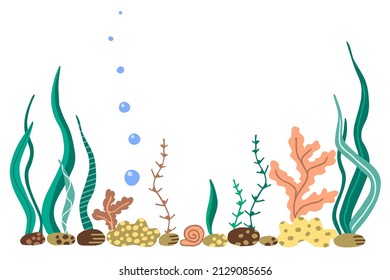 Simple color vector drawing. Underwater world, algae and plants, sponge. Sea bottom. Ocean, coral reef. Fishing tackle, aquarium.