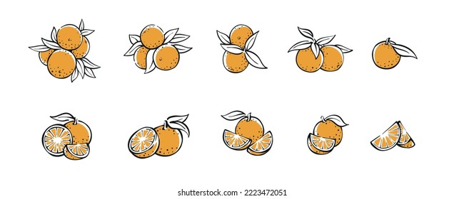 Simple colored orange collection set hand drawn illustration vector design