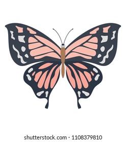
A simple colored vector icon of a butterfly polygonia interrogationis
