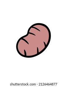 Simple and colored vegetable vector