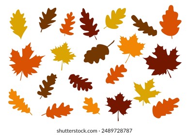 Simple Colorful Autumn Leaves Set