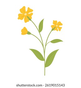 Simples flores coloridas e folhas em um fundo branco. Primavera e Verão