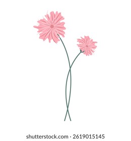 Simple colorful flowers and leaves on a white background. Spring and Summer Season