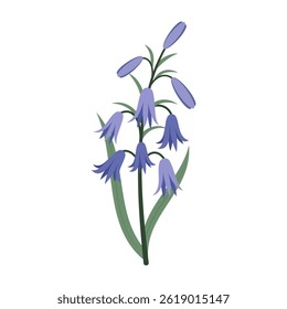 Simple colorful flowers and leaves on a white background. Spring and Summer Season