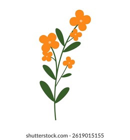 Simple colorful flowers and leaves on a white background. Spring and Summer Season