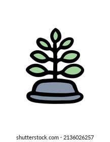 Simple and colorful potted plant