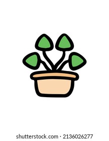 Simple and colorful potted plant