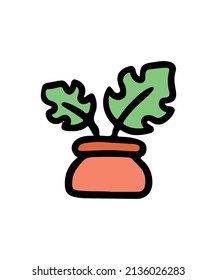 Simple and colorful potted plant