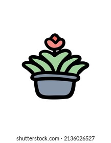 Simple and colorful potted plant