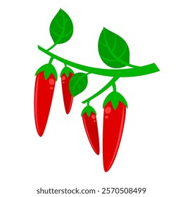 A simple and colorful vector illustration of a red chili pepper with a green stem and leaf, symbolizing spice, heat, and flavor.