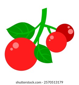 A simple and colorful vector illustration of three red cherries on a stem with green leaves, symbolizing freshness, summer, and a healthy snack.