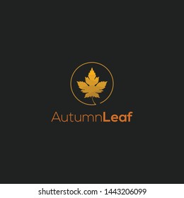 Simple and colorfull autumn leaf logo design