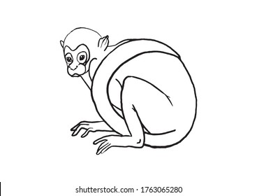 Monkey Coloring Page High Res Stock Images Shutterstock
