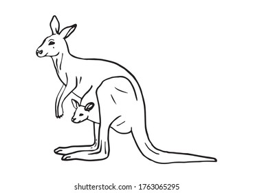 Kangaroo Outline Drawing Hand Drawing Black Stock Vector (Royalty Free ...