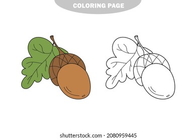 Simple coloring page. Acorn - coloring page, game for children, kids. Color and black and white version