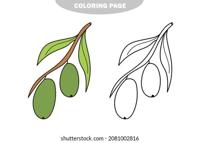 Simple coloring page. Coloring book for children with olives and sketch to color. Preschool education. Color and black and white version