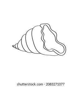 Simple coloring page. Line drawn round seashell on white isolated background. Summer ocean object. For coloring book pages.