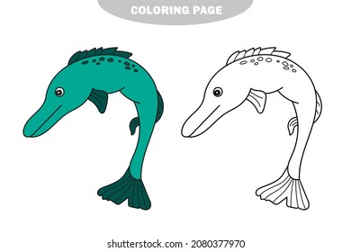 Simple coloring page. Stylized pike a long-bodied predatory freshwater fish. Color and black and white version