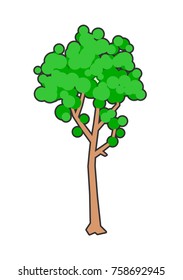 Simple composition of a lush, green tree. Illustration of serene looking, plant with a brown trunk and sparse foliage. Relaxing drawing, rich in colour with white background, outlined with a dark line