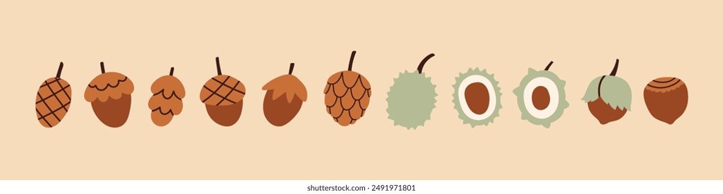 Simple cone, chestnut set. Autumn set of hand drawn cute cozy design elements. Fall, Thanksgiving Day, Autumn season. 