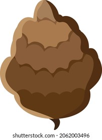Simple conifer cone illustration.  Suitable for decorating New Year's cards.