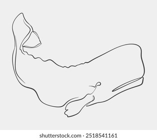 Simple continuous line art of a whale, showcasing minimalistic design and fluid curves in a modern, abstract style.