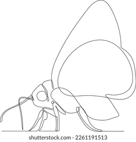 Simple continuous line drawing of a beautiful butterfly. Minimalist Animals concept, simple line, vector illustration, black and white design.