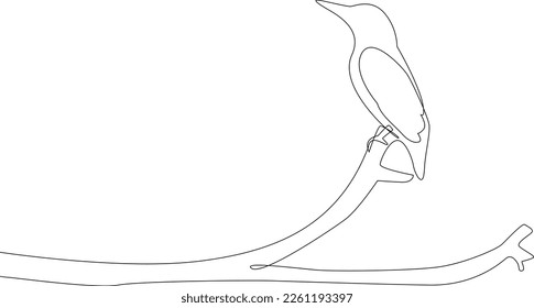 A simple continuous line drawing of a beautiful bird on a branch. Minimalist Animals concept, simple line, vector illustration, black and white design.