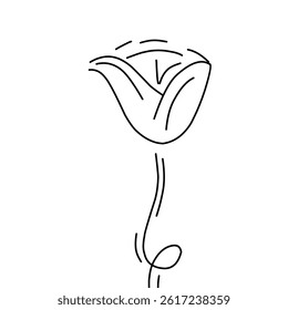 Simple continuous line of tulip. Continuous one line drawing tulips. Spring concept. Single line draw design vector illustration. Tulip sketch	
