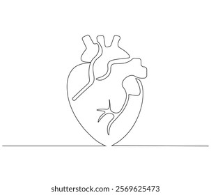 Simple continuous one line drawing of human heart. Single line drawing illustration of heart. Anatomical concept vector art. Doodle line illustration.