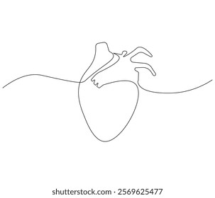 Simple continuous one line drawing of human heart. Single line drawing illustration of heart. Anatomical concept vector art. Doodle line illustration.