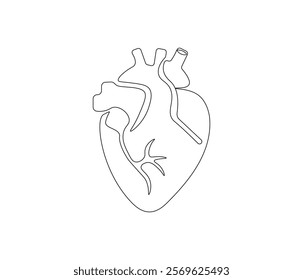 Simple continuous one line drawing of human heart. Single line drawing illustration of heart. Anatomical concept vector art. Doodle line illustration.