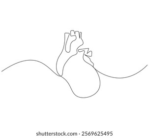Simple continuous one line drawing of human heart. Single line drawing illustration of heart. Anatomical concept vector art. Doodle line illustration.