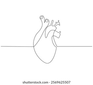 Simple continuous one line drawing of human heart. Single line drawing illustration of heart. Anatomical concept vector art. Doodle line illustration.