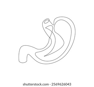 Simple continuous one line drawing of stomach . Single line drawing illustration of stomach. Anatomical concept vector art. Doodle line illustration.