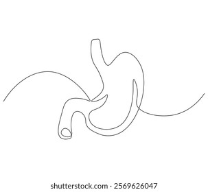 Simple continuous one line drawing of stomach . Single line drawing illustration of stomach. Anatomical concept vector art. Doodle line illustration.