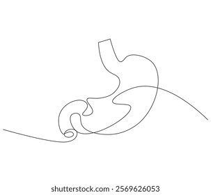 Simple continuous one line drawing of stomach . Single line drawing illustration of stomach. Anatomical concept vector art. Doodle line illustration.