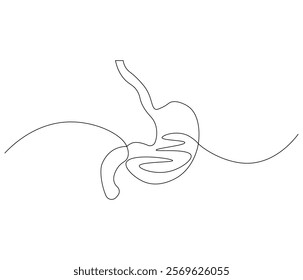 Simple continuous one line drawing of stomach . Single line drawing illustration of stomach. Anatomical concept vector art. Doodle line illustration.