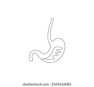 Simple continuous one line drawing of stomach . Single line drawing illustration of stomach. Anatomical concept vector art. Doodle line illustration.