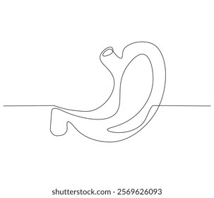 Simple continuous one line drawing of stomach . Single line drawing illustration of stomach. Anatomical concept vector art. Doodle line illustration.